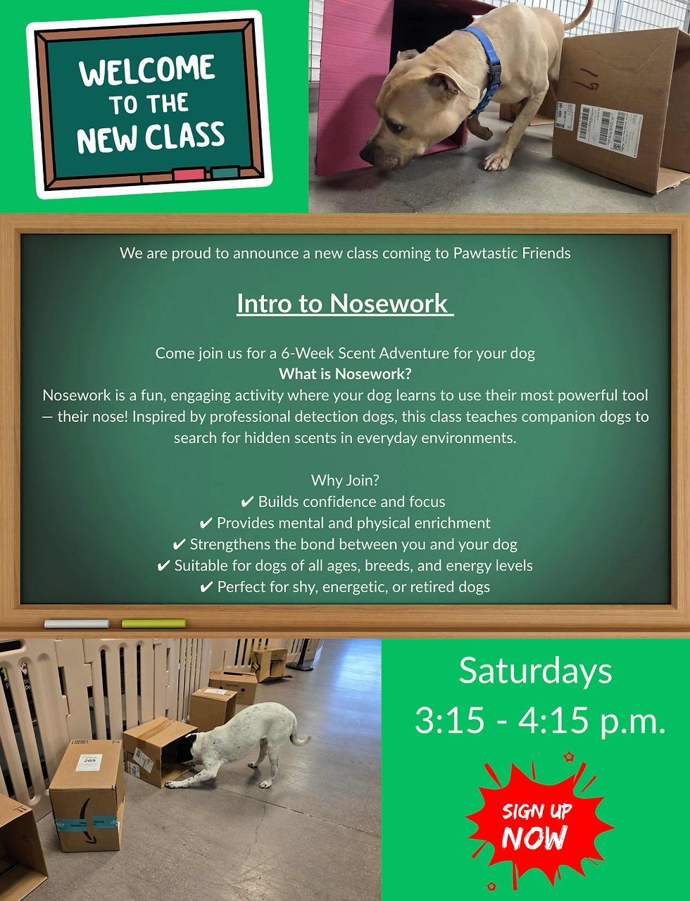 Intro to Nosework Class