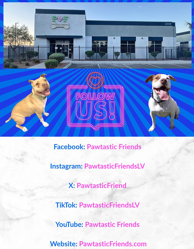 Screenshot 2025-09-16 at 1.29_edited.jpg