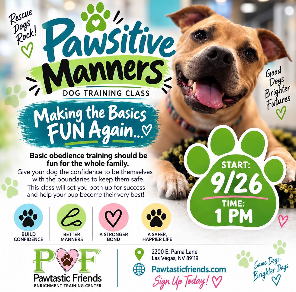 Pawsitive Manners Dog Training Class