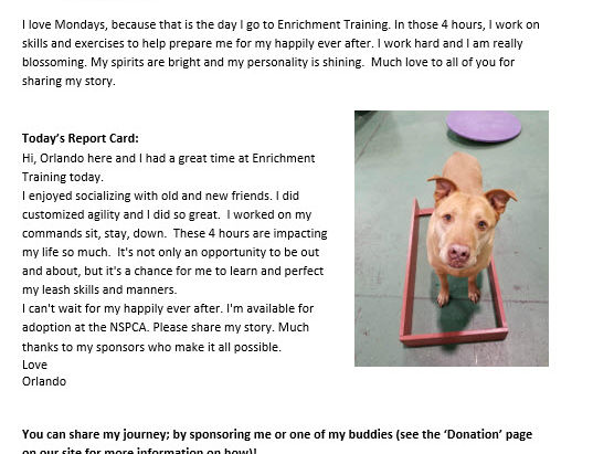 Week 5/8/17 Report Cards!