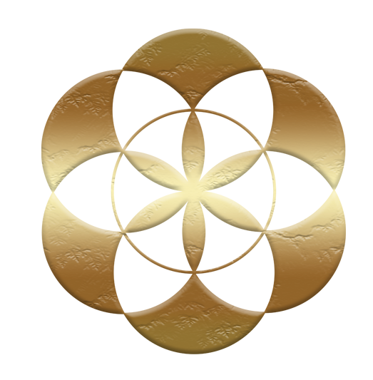 book-a-course-maxime-beaudette