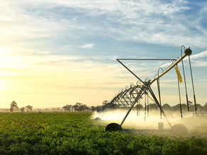 INSPIRING TEEN MAKES HER MARK