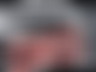 NICO WAYNE TOUSSAINT - MISSSIPI TRIO