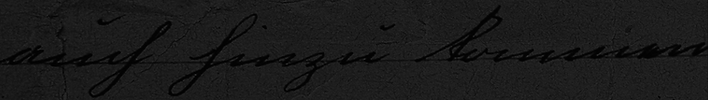 Website Section Headers (1).png