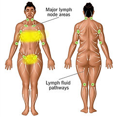 Screenshot_20251020-131827~2 (2).png