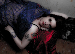 Mark Haylett Photography