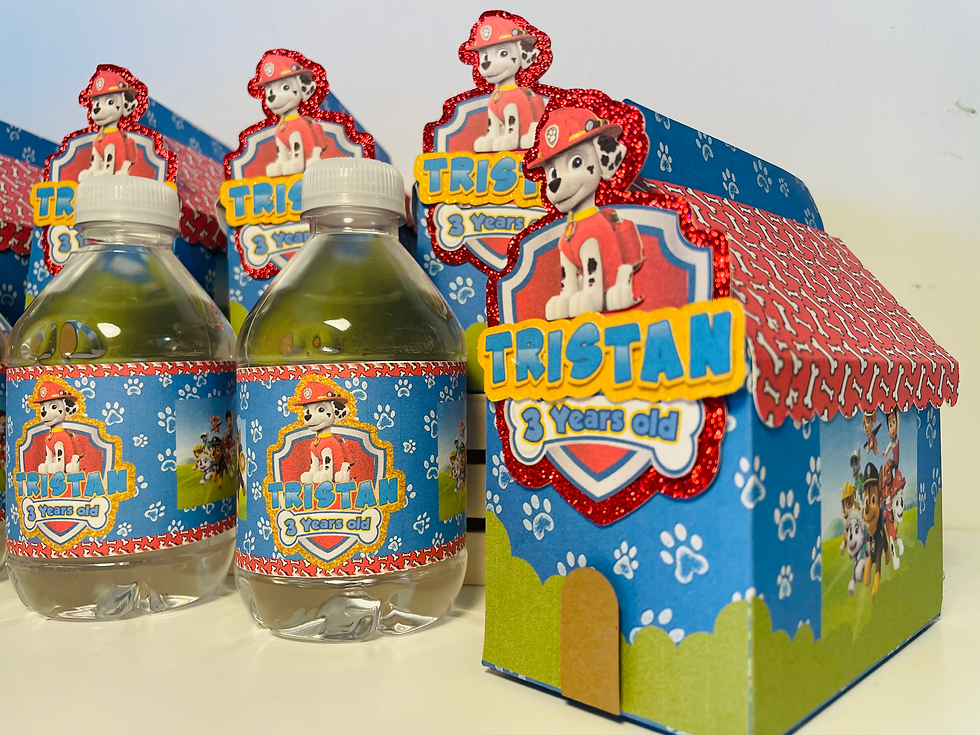 Thumbnail: Paw patrol party box