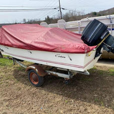 Cobia $1500