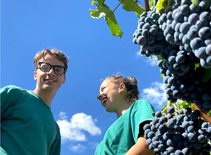 BROCHURE IN ITALIANO (3) (1)-3.jpg