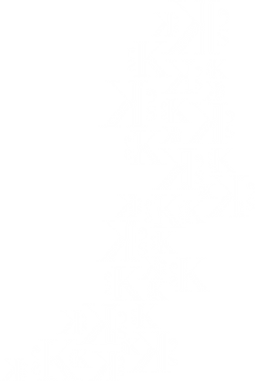 KOR20210133-Achtergrond-K-wit-1600px_edited_edited.png