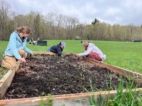 Local students explore spring ephemerals at Smokey House Center