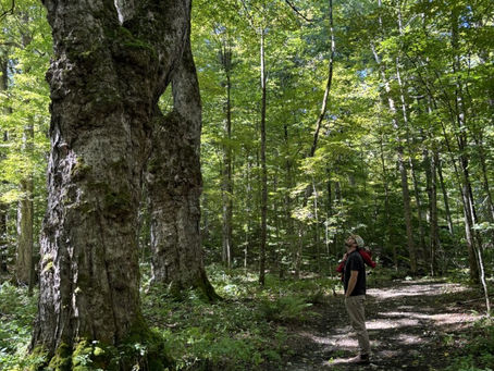 Vermont’s Smokey House Center Offers a “Living Laboratory” for Fields, Forests and Climate Change