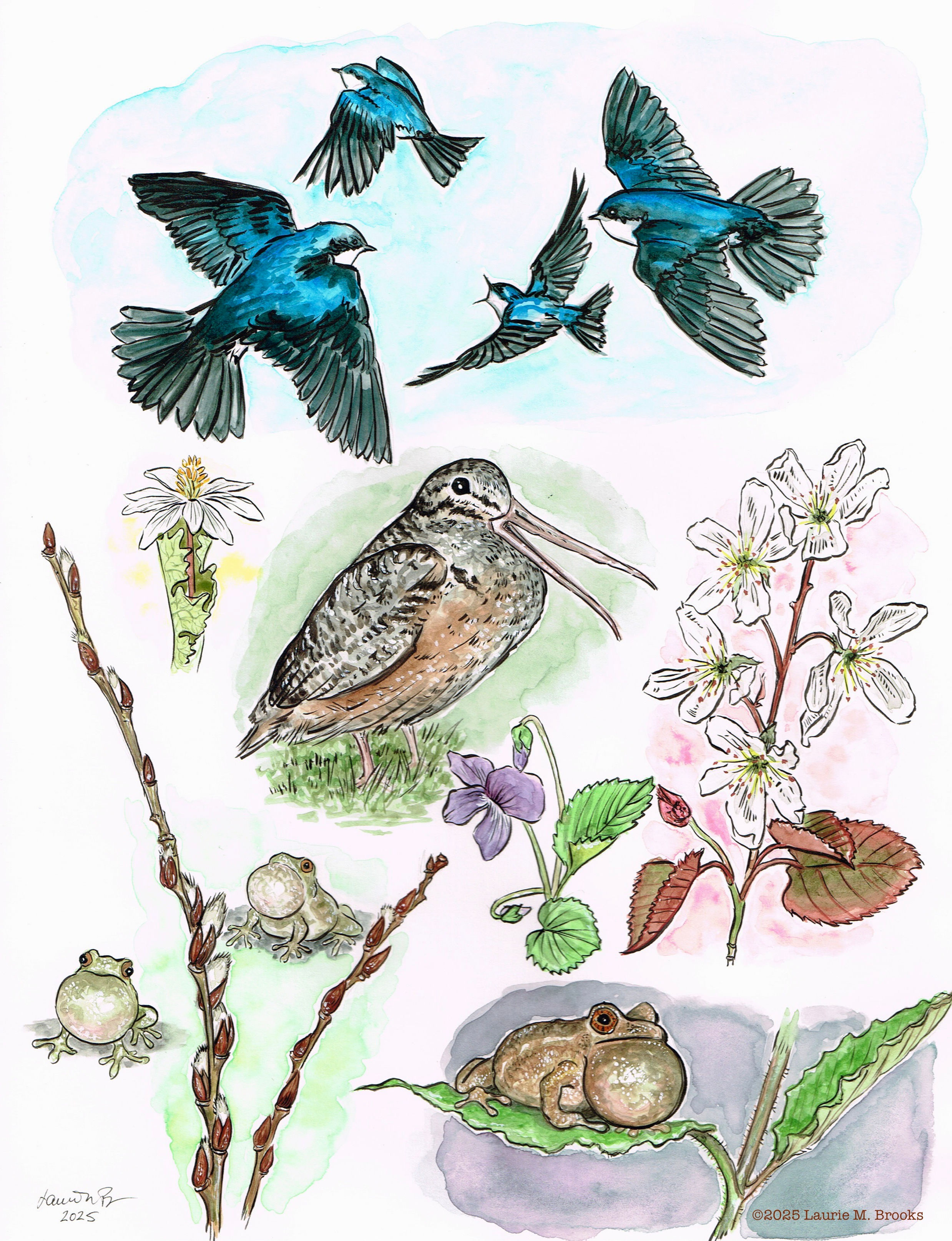 Spring Sampler giclée print