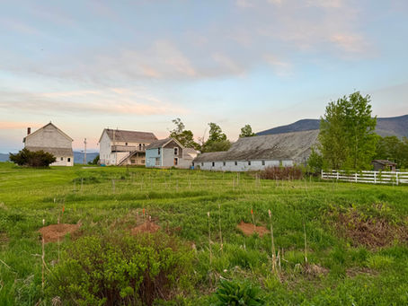 The Windham Foundation announces grant recipients for 2025 spring grant cycle