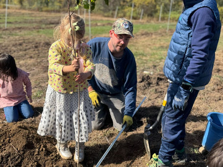 'Creating a legacy for future generations': Red Fox Community School students plant persimmon trees at Smokey House Center