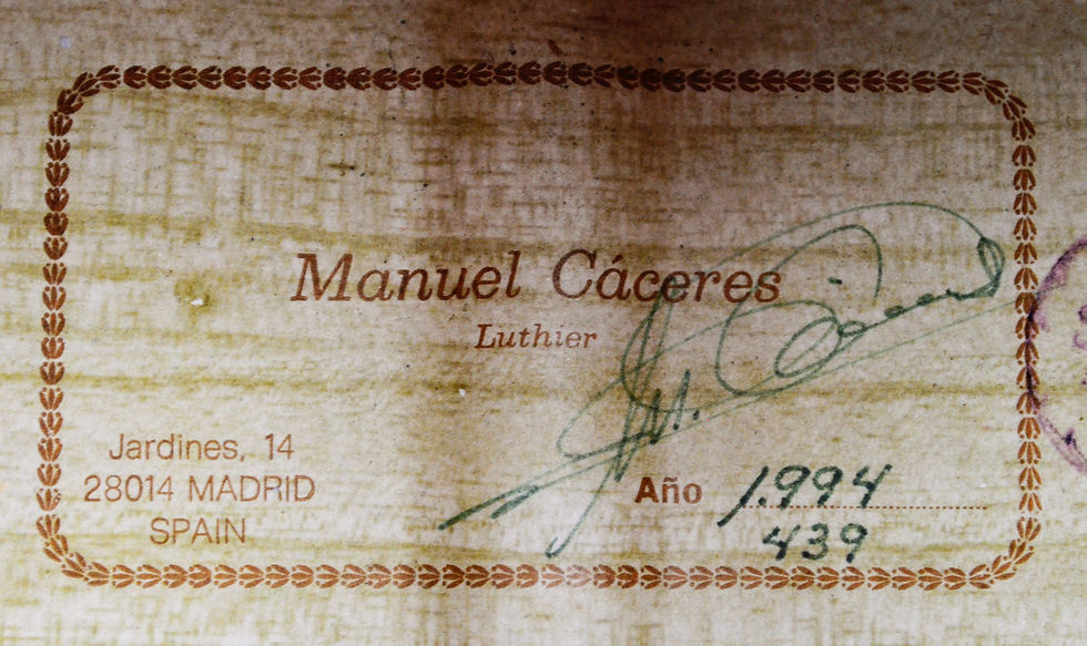 Thumbnail: Manuel Caceres 1994 - Blanca