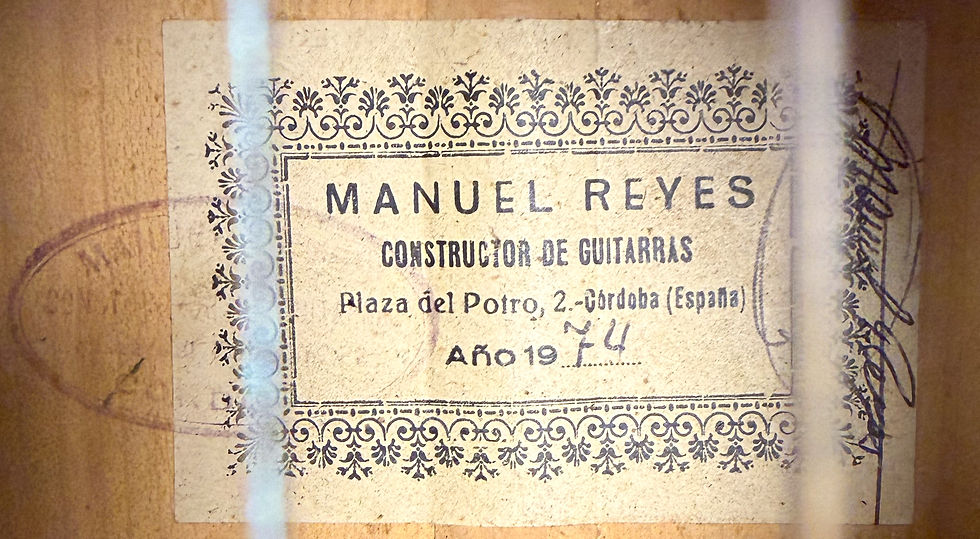 Thumbnail: Manuel Reyes 1974 - Blanca