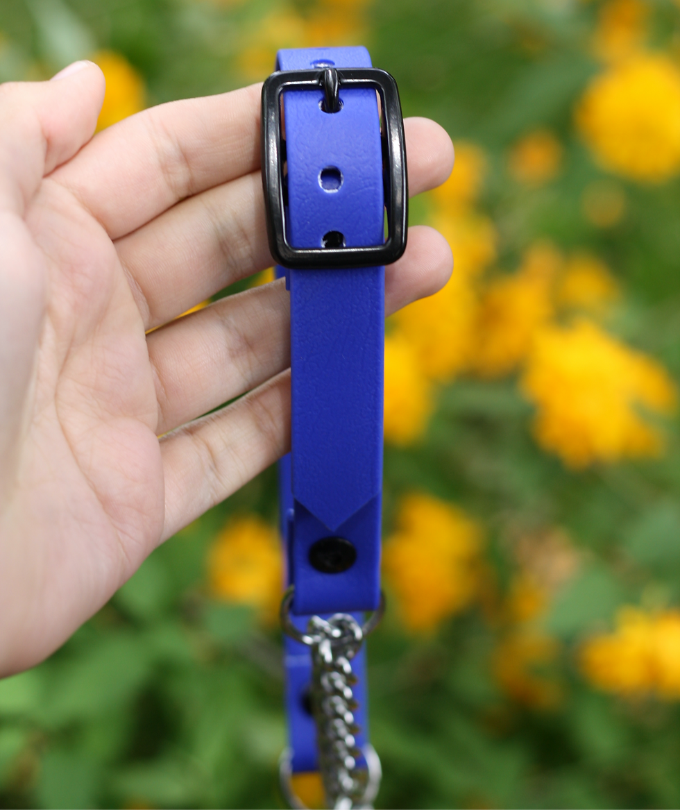 Thumbnail: The Martingale Collar