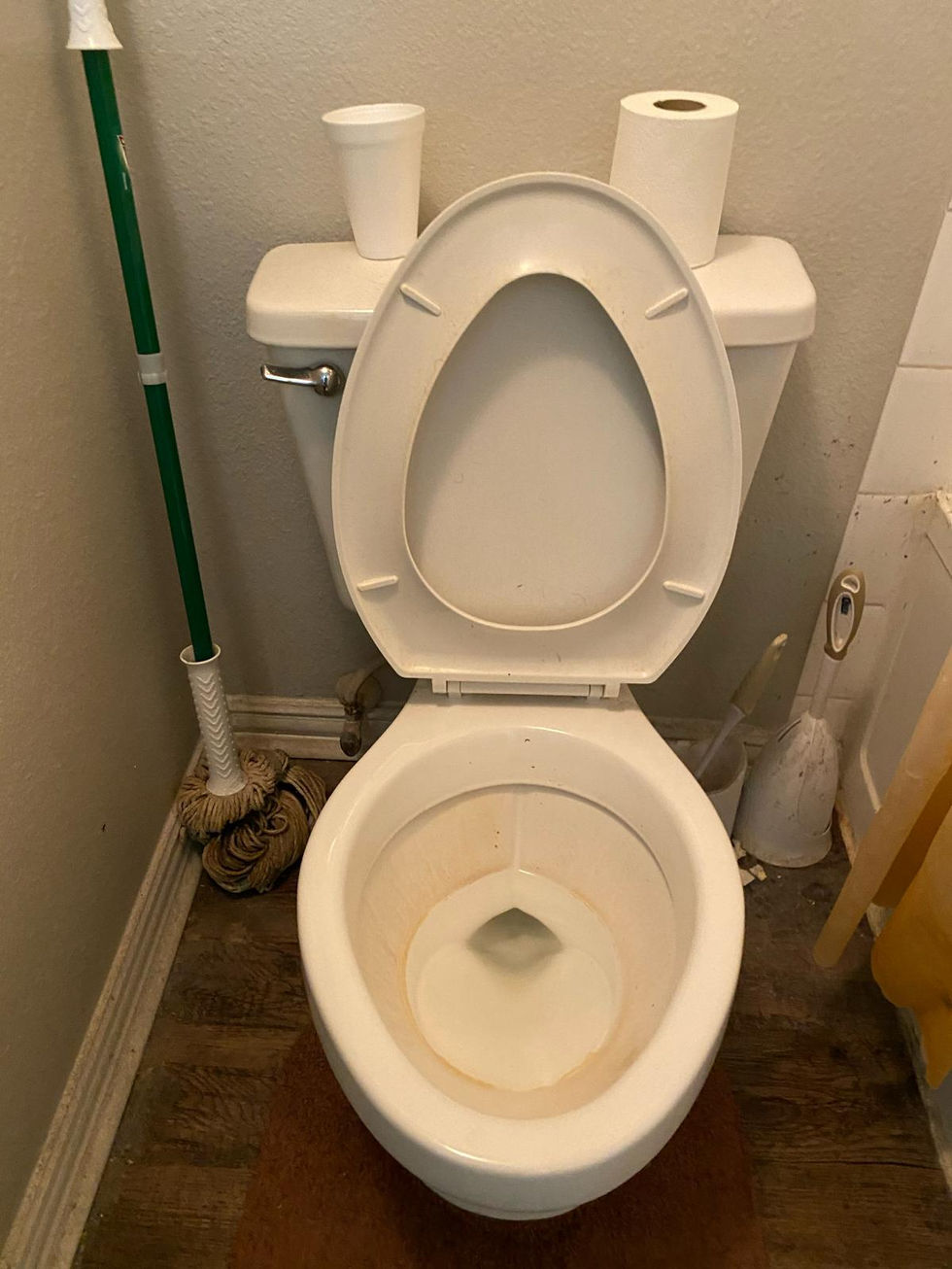 dirty toilet before
