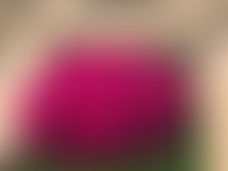 Ankara Karşıyaka Mezarlığı'nda Nasıl Mezar Bakım Hizmetleri Sunuyoruz?