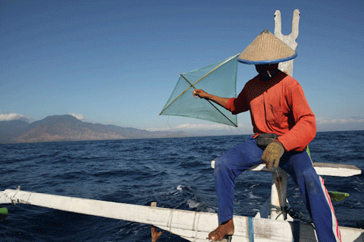 Pêche au cerf-volant