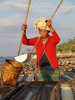 Récolte sel plage D'Amed