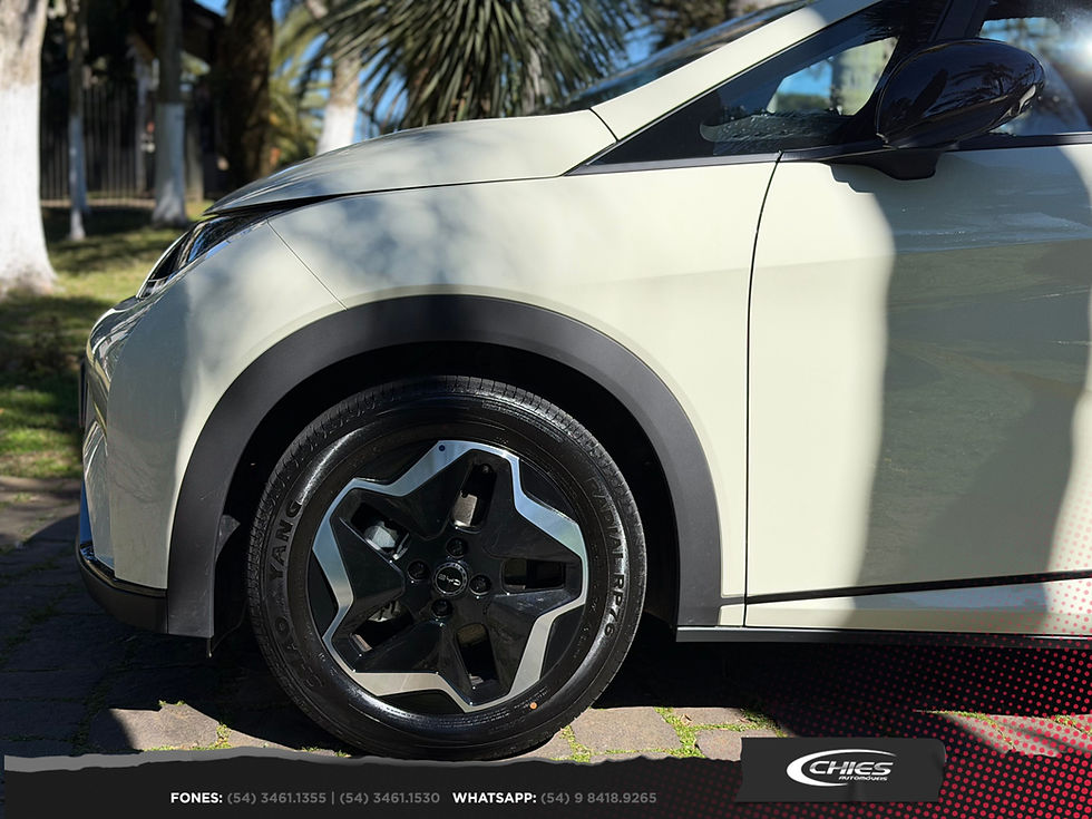 Miniatura: BYD / Dolphin GS