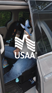 USAA - Stay Green - Man Van _15_1.gif