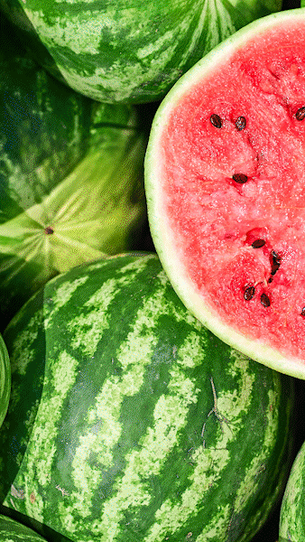 TSC_WatermelonGirlSummer_9x16.gif