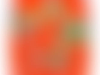 Glory in a Penzance hedgerow