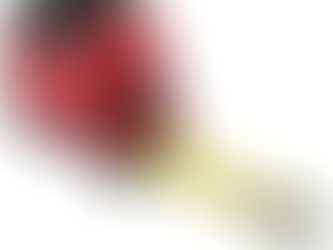 Milwaukee 25' Magnetic Wide Blade Tape Measure Review