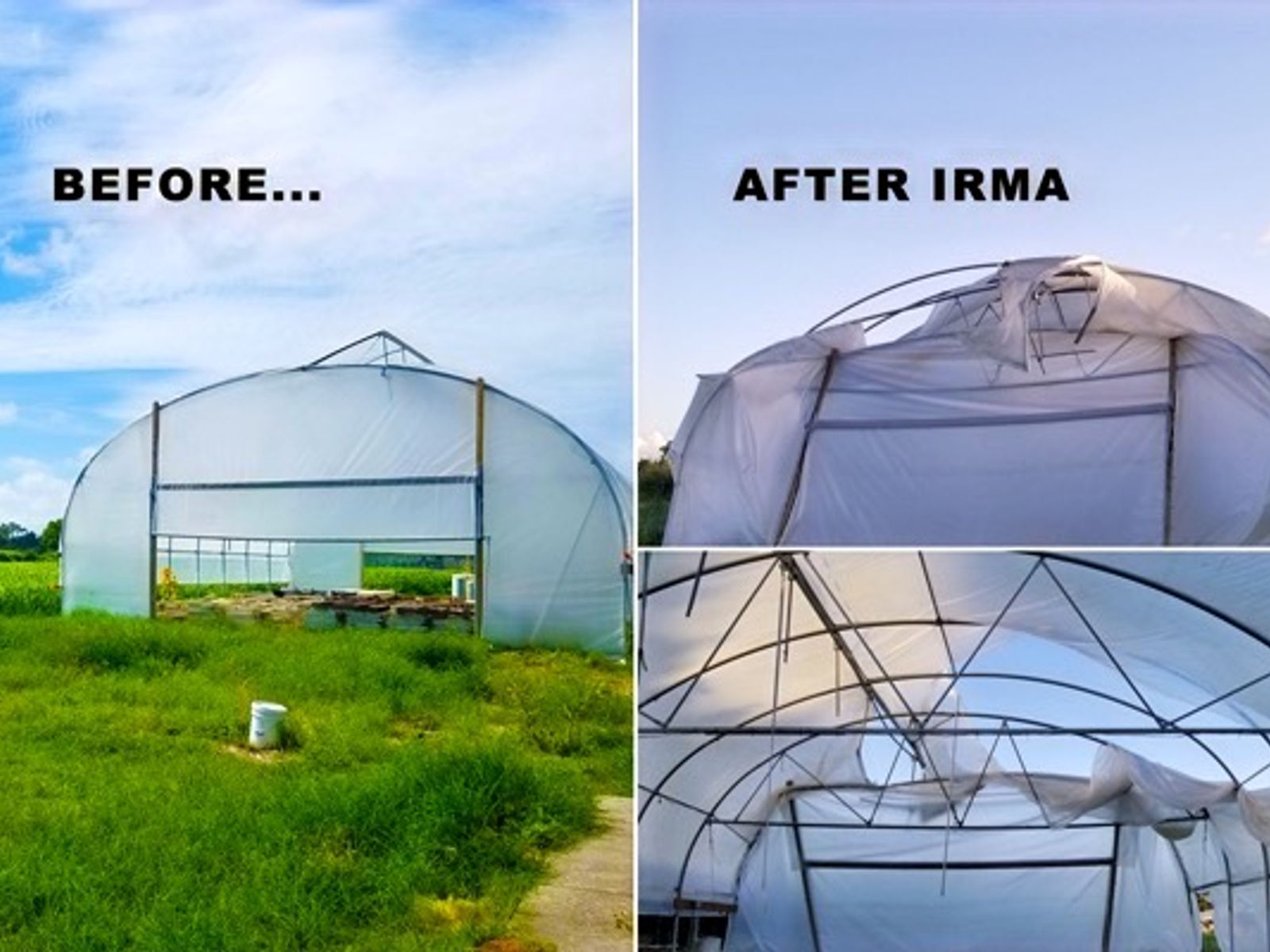 Jessica’s Organic Farm