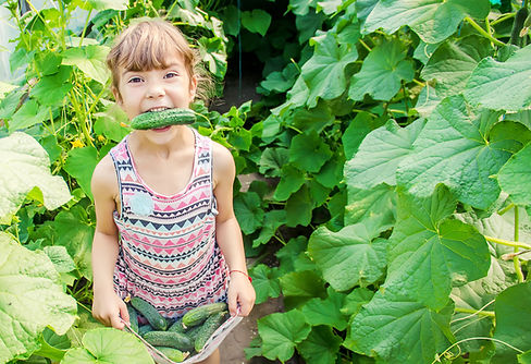 Cuke Kid.jpeg