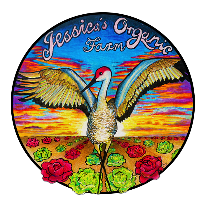 Writer: Jessica's Organic Farm