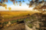 Un paysage de la Côte de Beaune. Des vignobles à perte de vue.