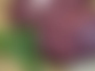 2 beaux rognons de veau en vue rapprochée.