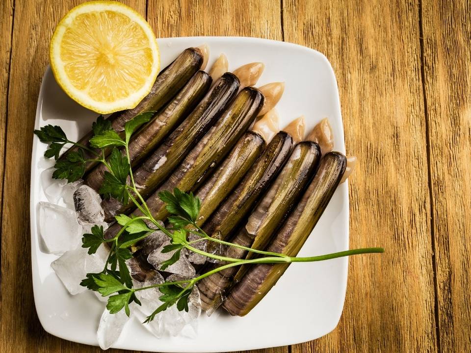 Accord mets et vins avec des couteaux persillés