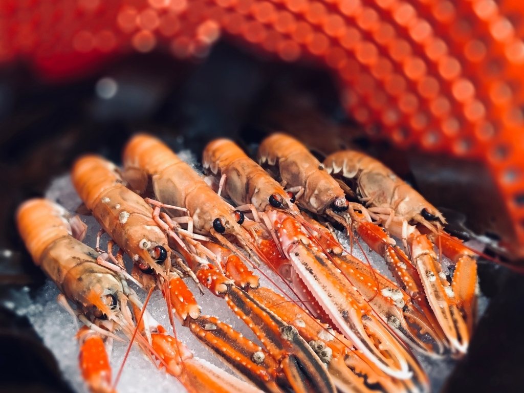 Langoustines grillées alignées sur une grille, avec une ambiance chaude et conviviale.