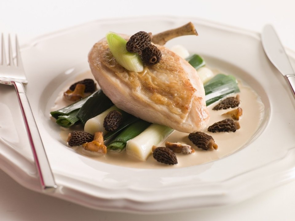 Accord mets et vins avec un poulet aux morilles