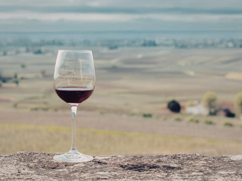 Verre de vin rouge posé sur un rebord, avec une plaine viticole floue en arrière-plan.