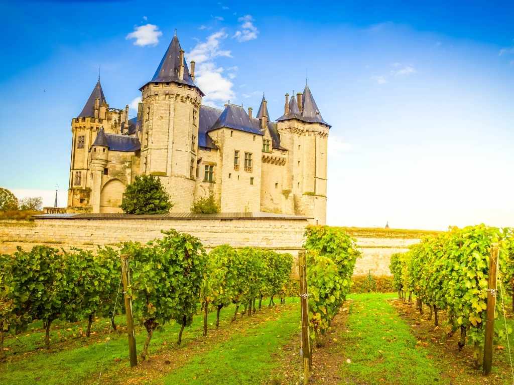 Château ligérien au-dessus des vignes, avec des rangs bien alignés au premier plan.