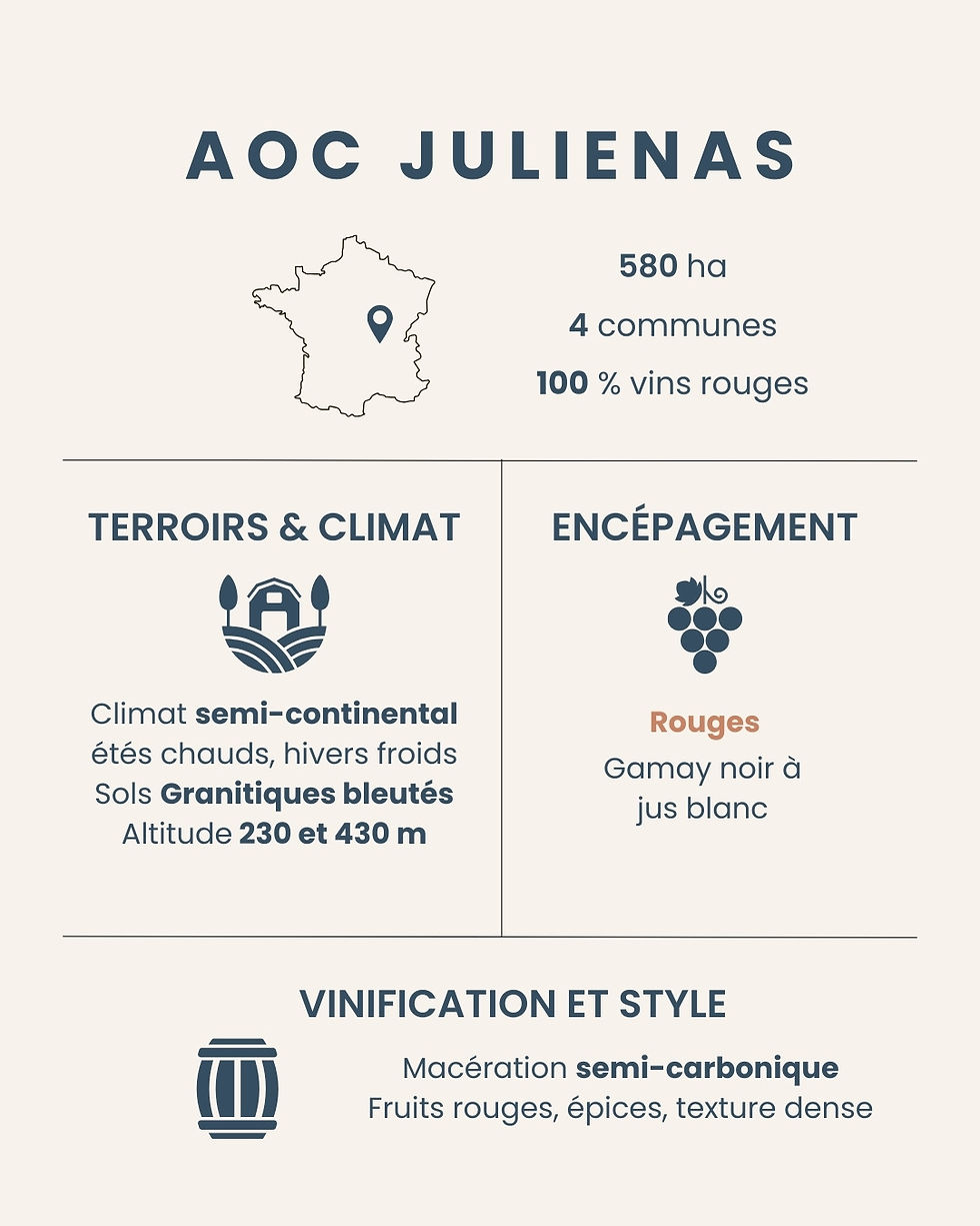 Infographie récapitulative de l'AOC Juliénas