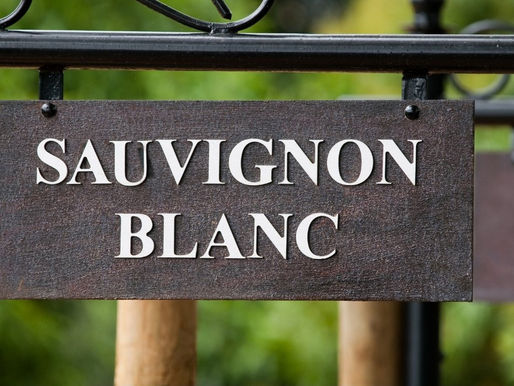 Que manger avec ... un Cheverny blanc ?
