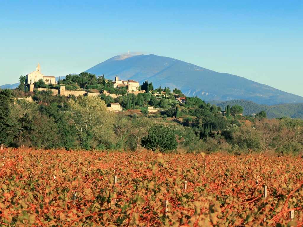 Village provençal dominant un paysage de vignes rousses, avec une montagne en arrière-plan.