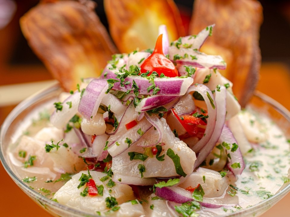 Accord mets et vins avec un ceviche de poisson