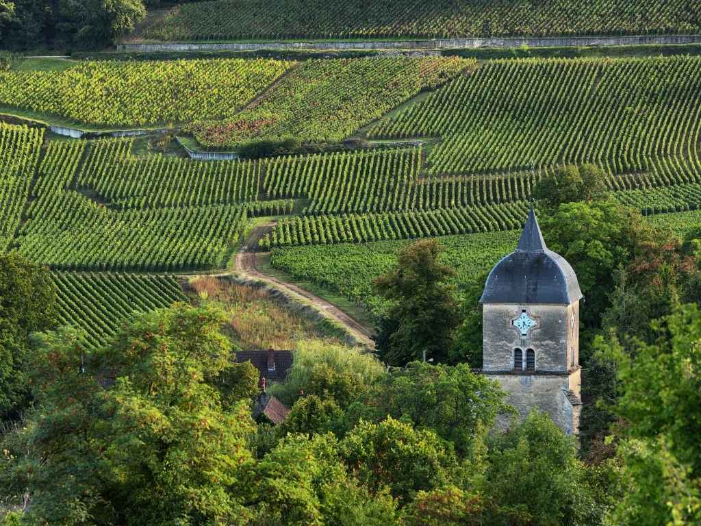 Petit village bourguignon entouré de vignes en coteaux, avec une tour au premier plan.