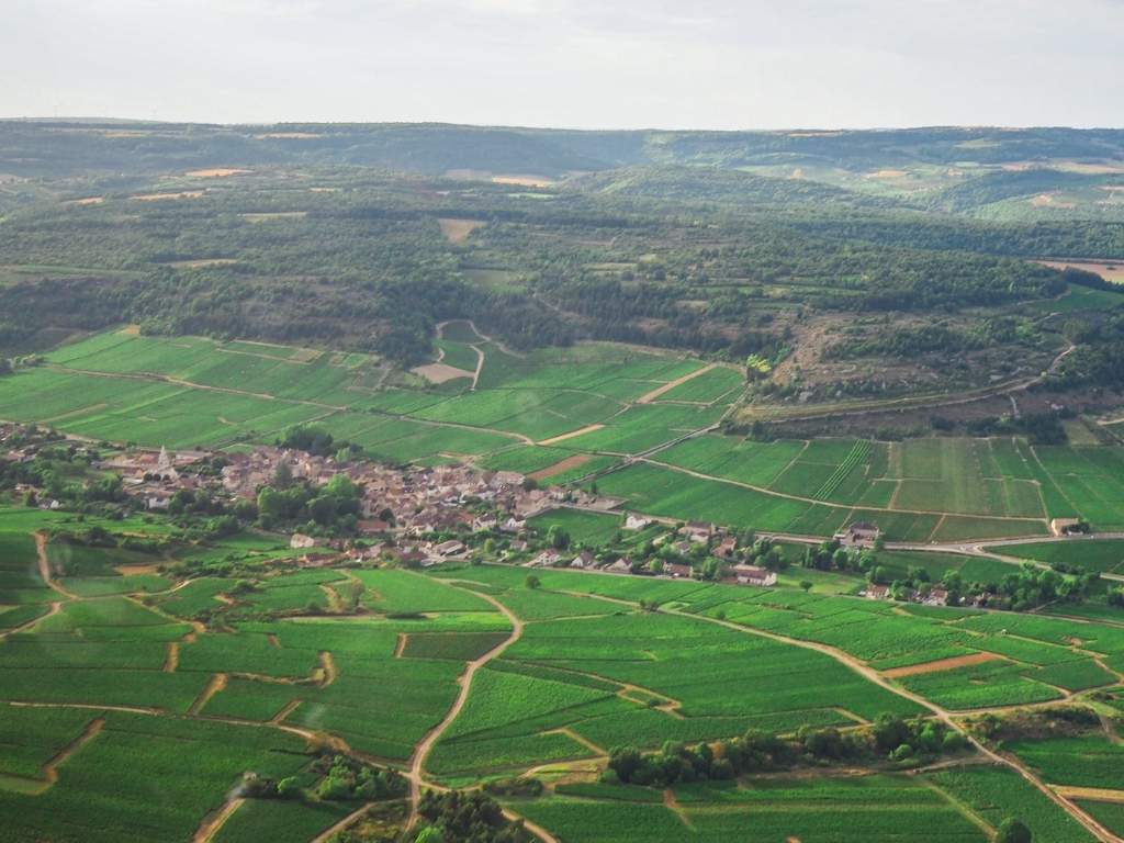 Coteaux verts et village entouré de vignes, vus depuis les hauteurs du vignoble.