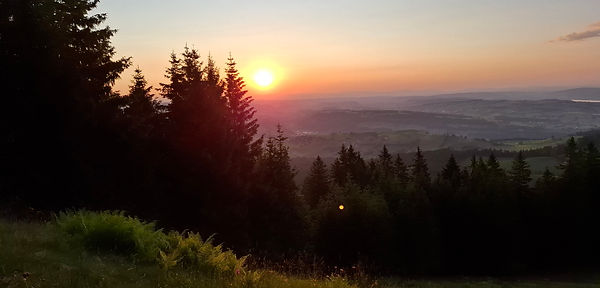 20250621_210918.jpg