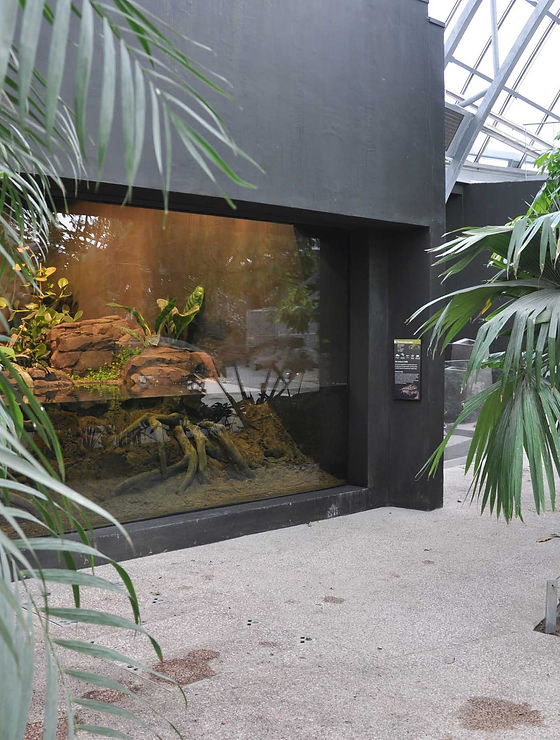 avantrace-architekten-kultur-zoo-paris-6