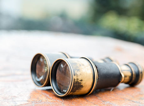 Binoculars1.jpg